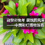 迎癸卯兔年 展馆园风采——中国彩灯博物馆春节元宵文化惠民活动安排(图3) 迎癸卯兔年 展馆园风采——中国彩灯博物馆春节元宵文化惠民活动安排(图3)