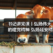 书记讲党课丨弘扬伟大的建党精神 弘扬延安精神(图2) 书记讲党课丨弘扬伟大的建党精神 弘扬延安精神(图2)