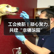 工会换新丨凝心聚力,共建“幸福馆园”(图4) 工会换新丨凝心聚力,共建“幸福馆园”(图4)