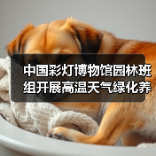 中国彩灯博物馆园林班组开展高温天气绿化养护工作(图4) 中国彩灯博物馆园林班组开展高温天气绿化养护工作(图4)