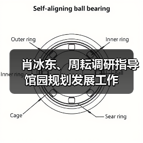 肖冰东、周耘调研指导馆园规划发展工作(图4) 肖冰东、周耘调研指导馆园规划发展工作(图4)