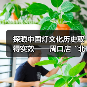 探源中国灯文化历史取得实效——周口店“北京人”用火灰烬引入中国彩灯博物馆(图2) 探源中国灯文化历史取得实效——周口店“北京人”用火灰烬引入中国彩灯博物馆(图2)