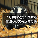 “灯舞贺冬奥”国家级非遗涉灯类传统体育传统舞蹈项目线上展示活动之十八:浦东绕龙灯(图2) “灯舞贺冬奥”国家级非遗涉灯类传统体育传统舞蹈项目线上展示活动之十八:浦东绕龙灯(图2)