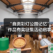 “自贡彩灯公园记忆”作品有奖征集活动启事（图3）