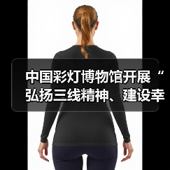 中国彩灯博物馆开展“弘扬三线精神、建设幸福馆园”主题党日暨“四史”宣传教育活动（图4）