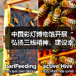 中国彩灯博物馆开展“弘扬三线精神、建设幸福馆园”主题党日暨“四史”宣传教育活动（图1）