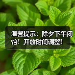 温馨提示:除夕下午闭馆!开放时间调整!(图3) 温馨提示:除夕下午闭馆!开放时间调整!(图3)
