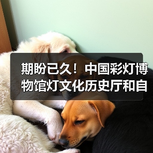 期盼已久!中国彩灯博物馆灯文化历史厅和自贡灯会历史厅于2月10日起试开放(图4) 期盼已久!中国彩灯博物馆灯文化历史厅和自贡灯会历史厅于2月10日起试开放(图4)