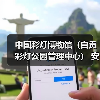 中国彩灯博物馆（自贡彩灯公园管理中心） 安保服务采购比选公告（图4）
