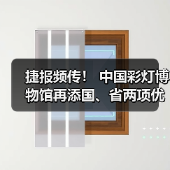 捷报频传! 中国彩灯博物馆再添国、省两项优秀荣誉(图4) 捷报频传! 中国彩灯博物馆再添国、省两项优秀荣誉(图4)
